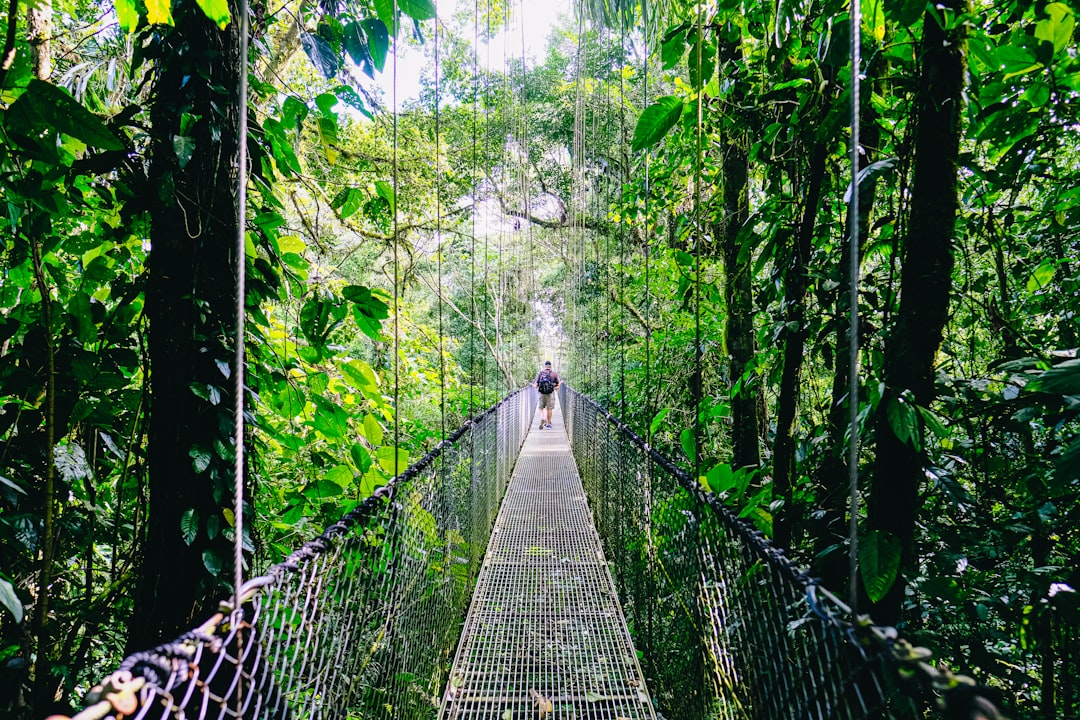 The Art of Solo Travel: Embracing Independence and Discovery The Art of Solo Travel: Embracing Independence and Discovery